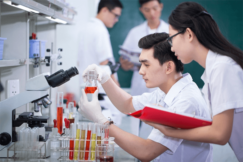 Chính sách thu hút, trọng dụng người có tài năng làm việc trong cơ quan nhà nước được quy định thế nào?