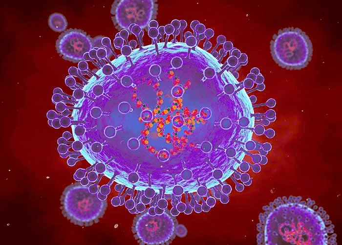 Người dân không nên quá hoang mang với virus HMPV ở Trung Quốc