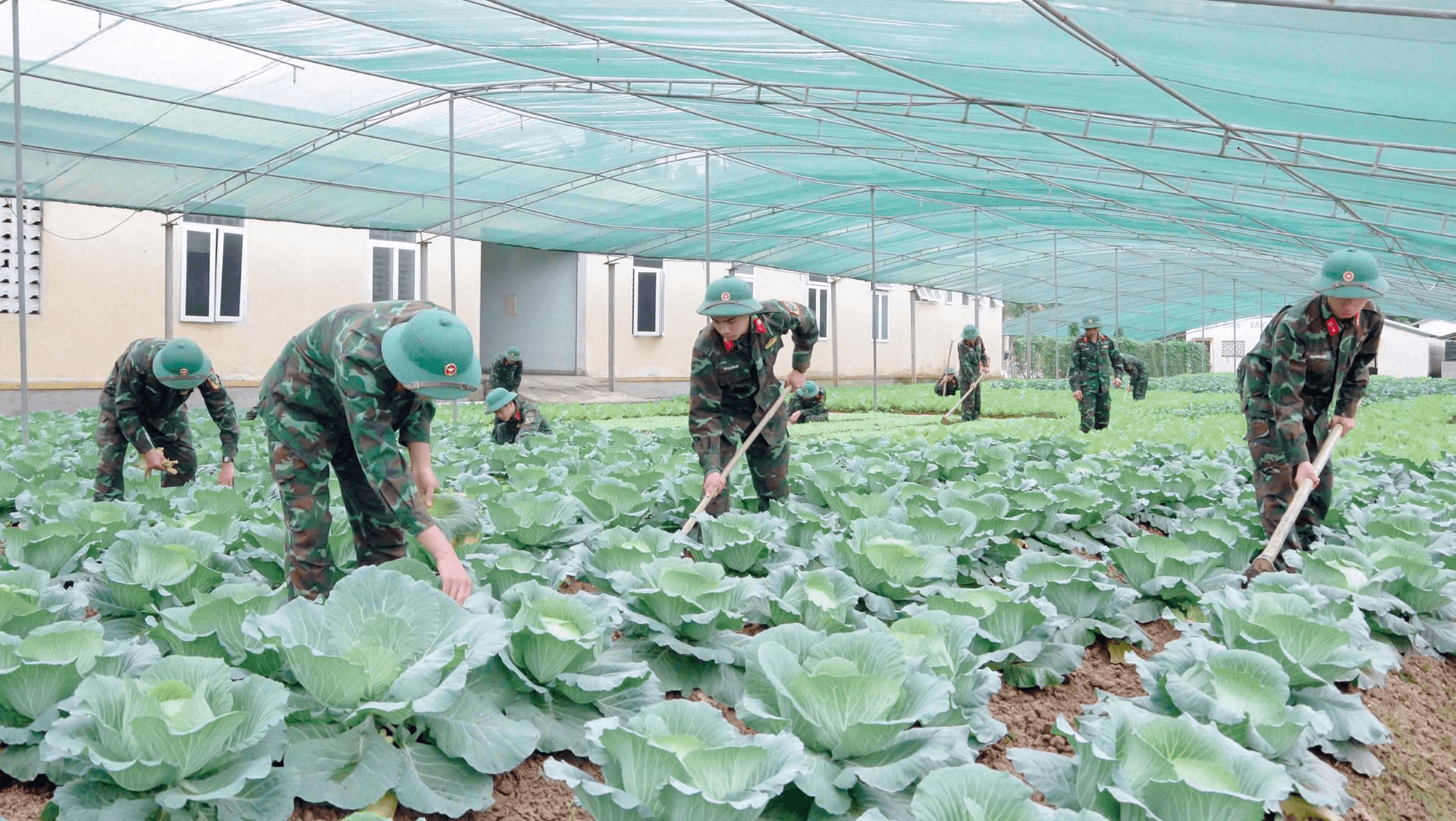 “Phông bạt” là lối sống không phù hợp với quân nhân