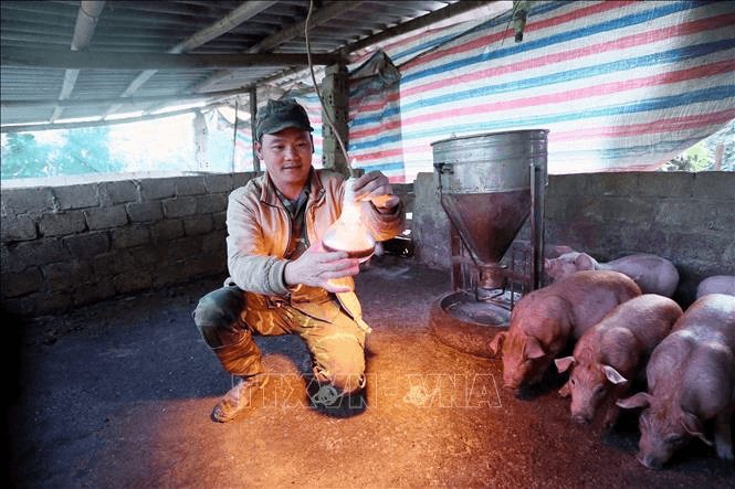 Ứng phó với không khí lạnh tăng cường