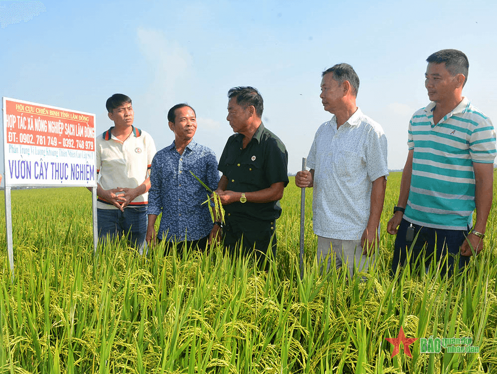 Cựu chiến binh Đỗ Xuân Hưng tâm huyết, nghĩa tình với nông dân