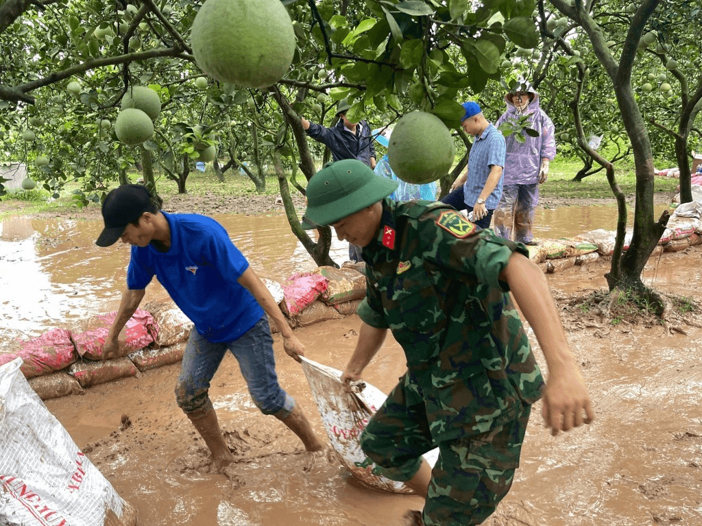 10 sự kiện, hoạt động tiêu biểu của thanh niên Thủ đô Hà Nội năm 2024
