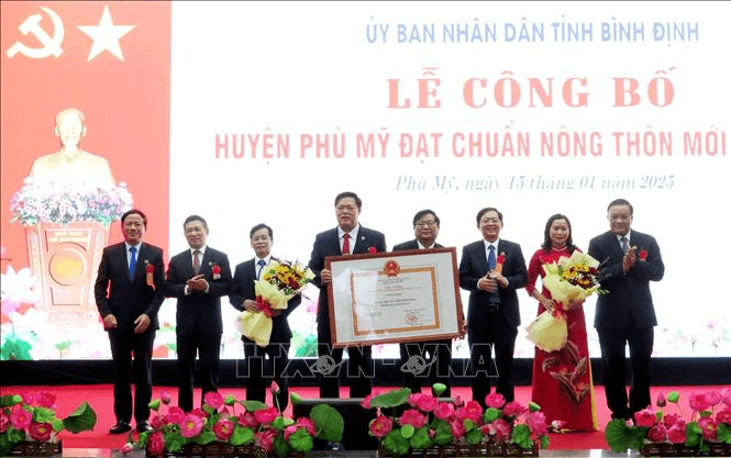 Phó thủ tướng Hồ Đức Phớc dự Lễ công nhận huyện Phù Mỹ đạt chuẩn nông thôn mới
