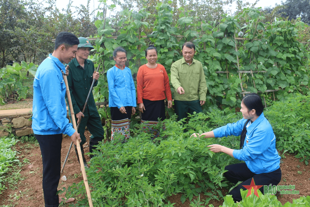 Đoàn Kinh tế - Quốc phòng 4 (Quân khu 4): “Vượt khó” giúp dân xóa nghèo