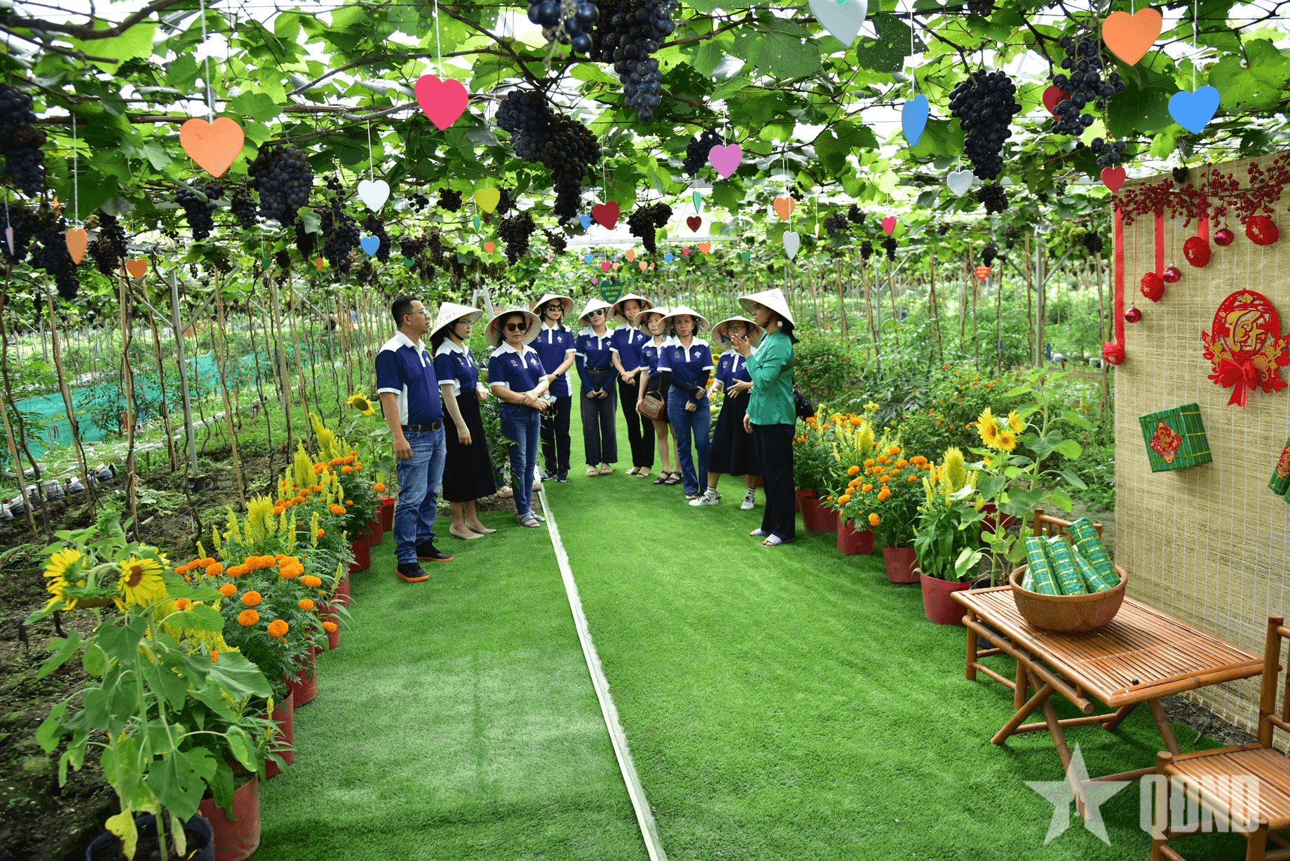 Cần Thơ: Khu sinh thái Sông Hậu Farm sẵn sàng cho sự kiện lớn