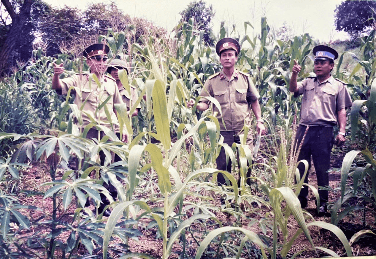Miền ký ức không quên