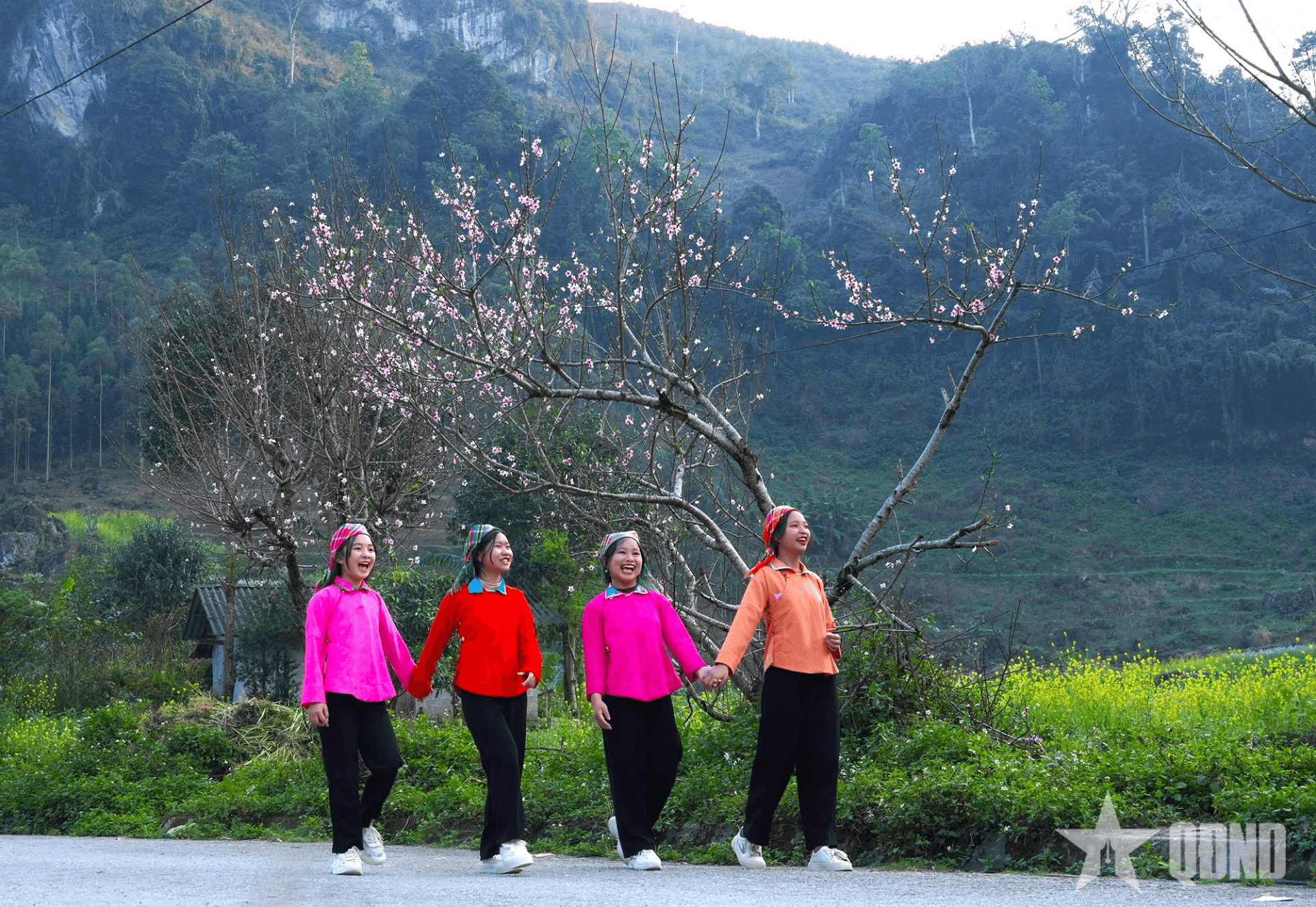 Xuân về “miền đá nở hoa”