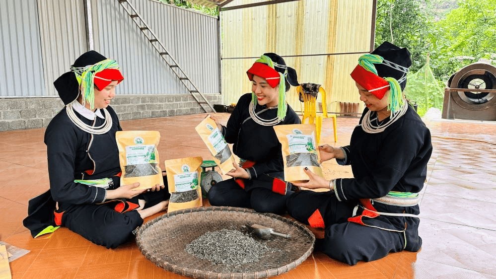 Đậm đà chè chốt Hà Giang