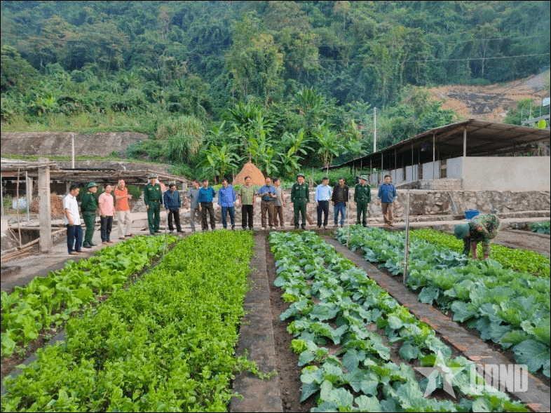 Bộ đội Biên phòng tỉnh Thanh Hóa: Xây dựng biên giới phát triển bình yên