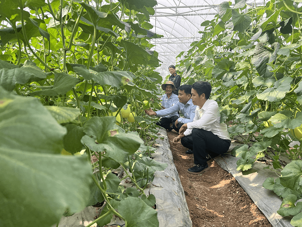 Tròn việc nước, trọn việc dân
