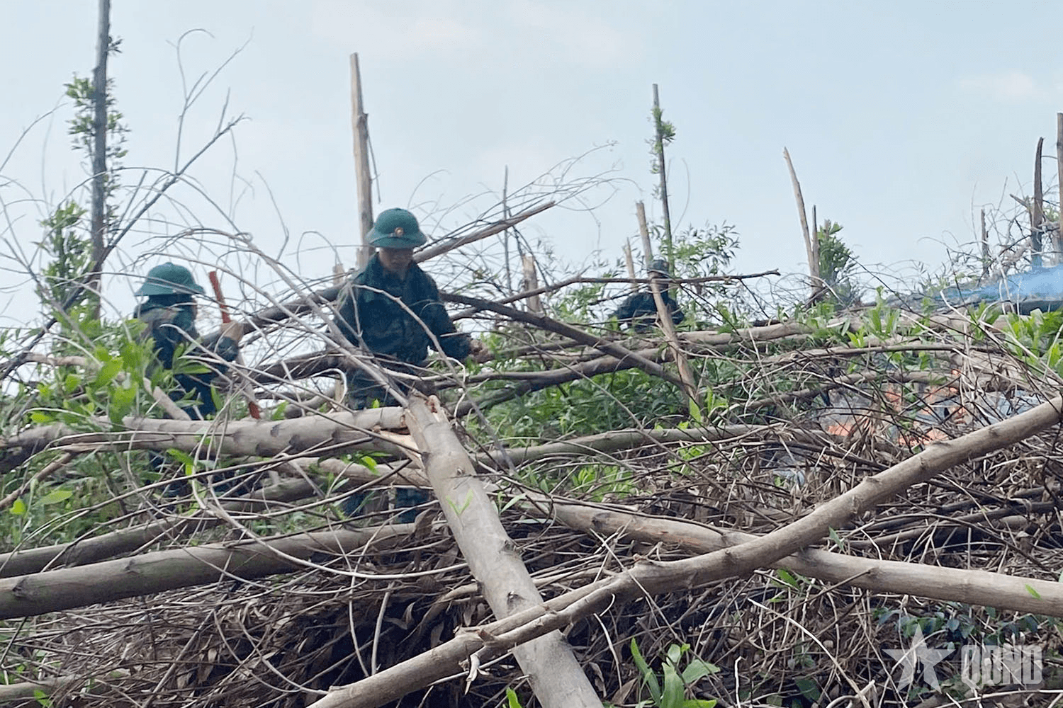 Hàng trăm người tham gia chữa cháy rừng tại TP Uông Bí, tỉnh Quảng Ninh