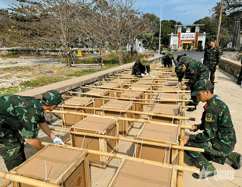 Bà Rịa - Vũng Tàu: Các trận địa pháo hoa đã sẵn sàng