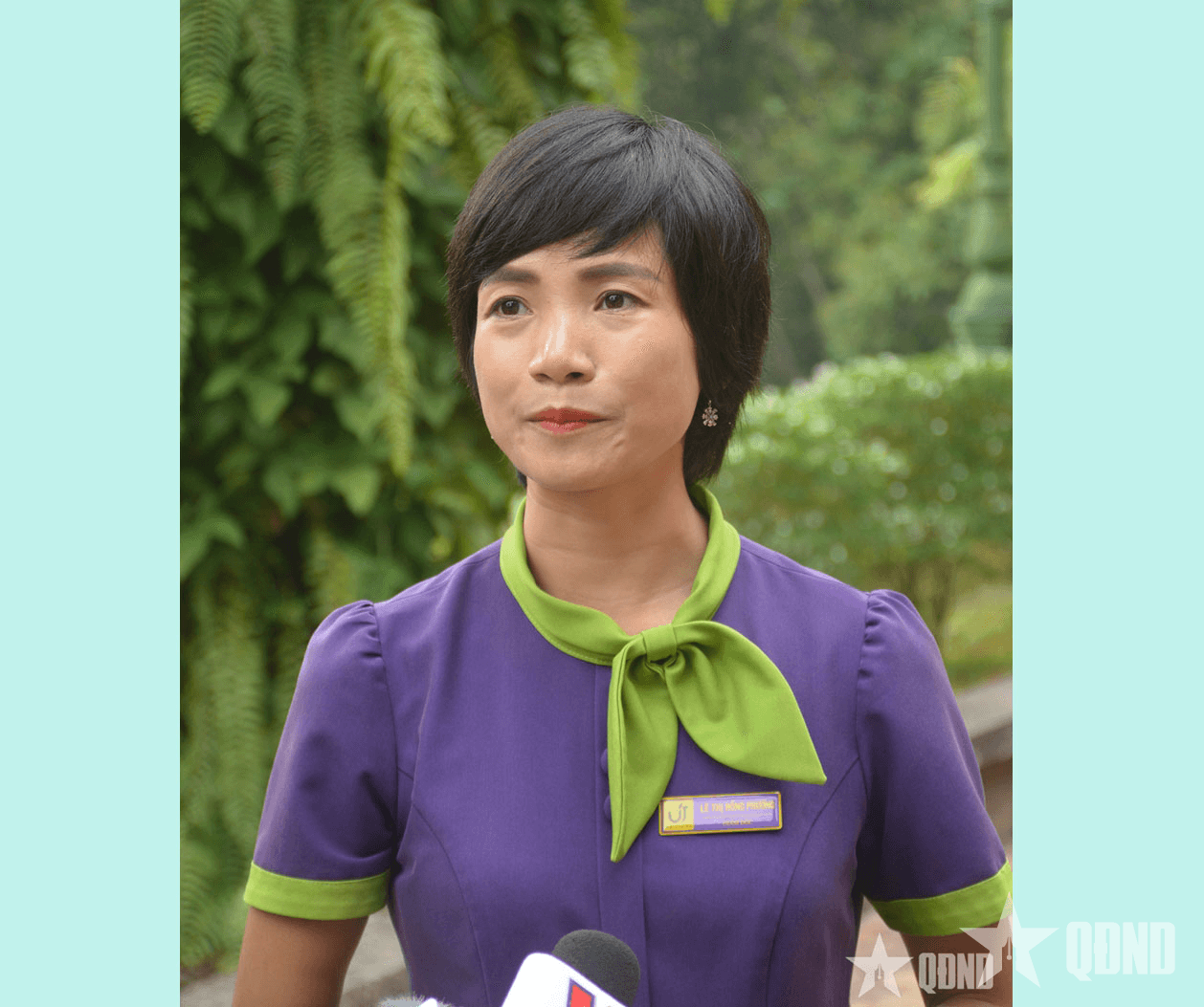 Chè búp tím - Sản phẩm nông nghiệp đặc sản đất Tổ
