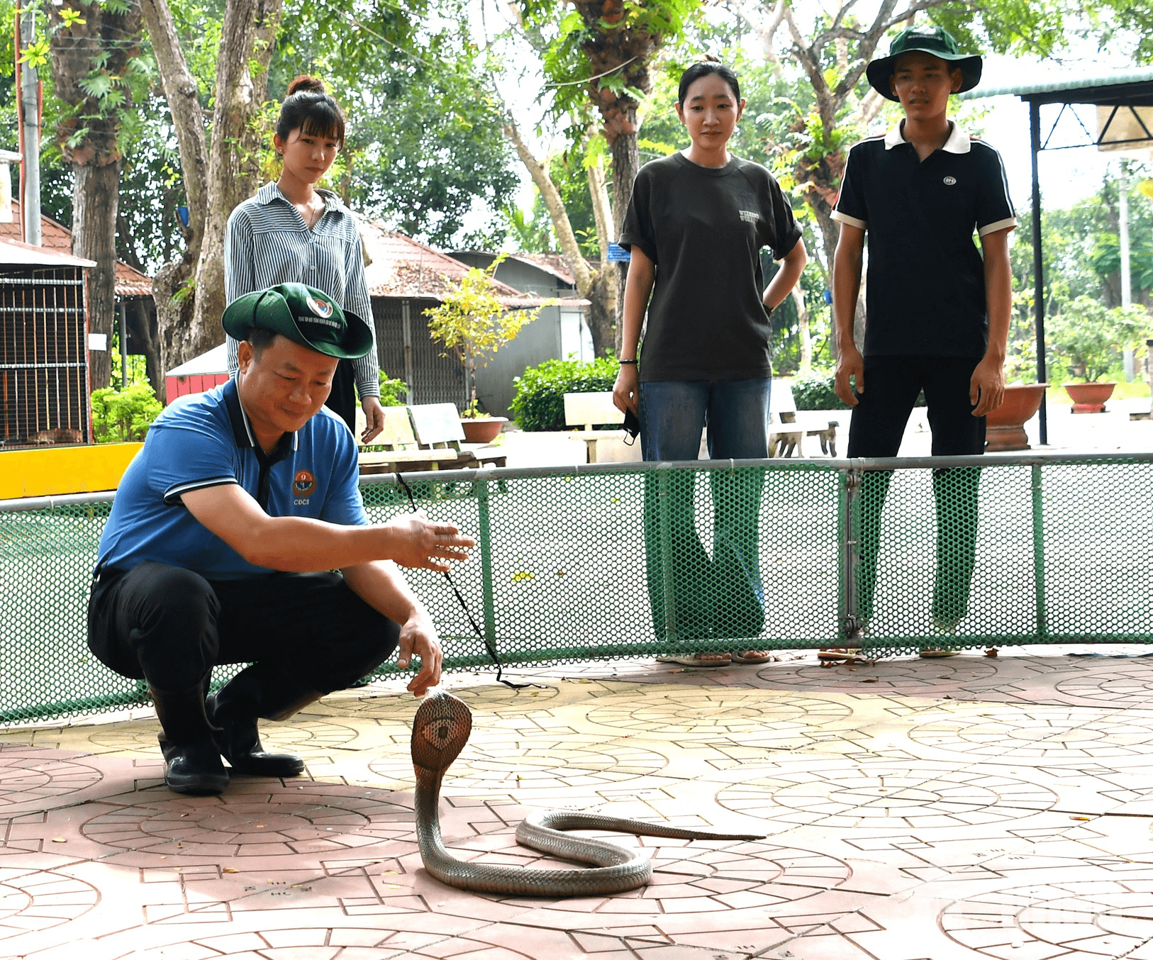Khu bảo tồn rắn hổ mang và hổ chúa độc đáo ở Quân khu 9