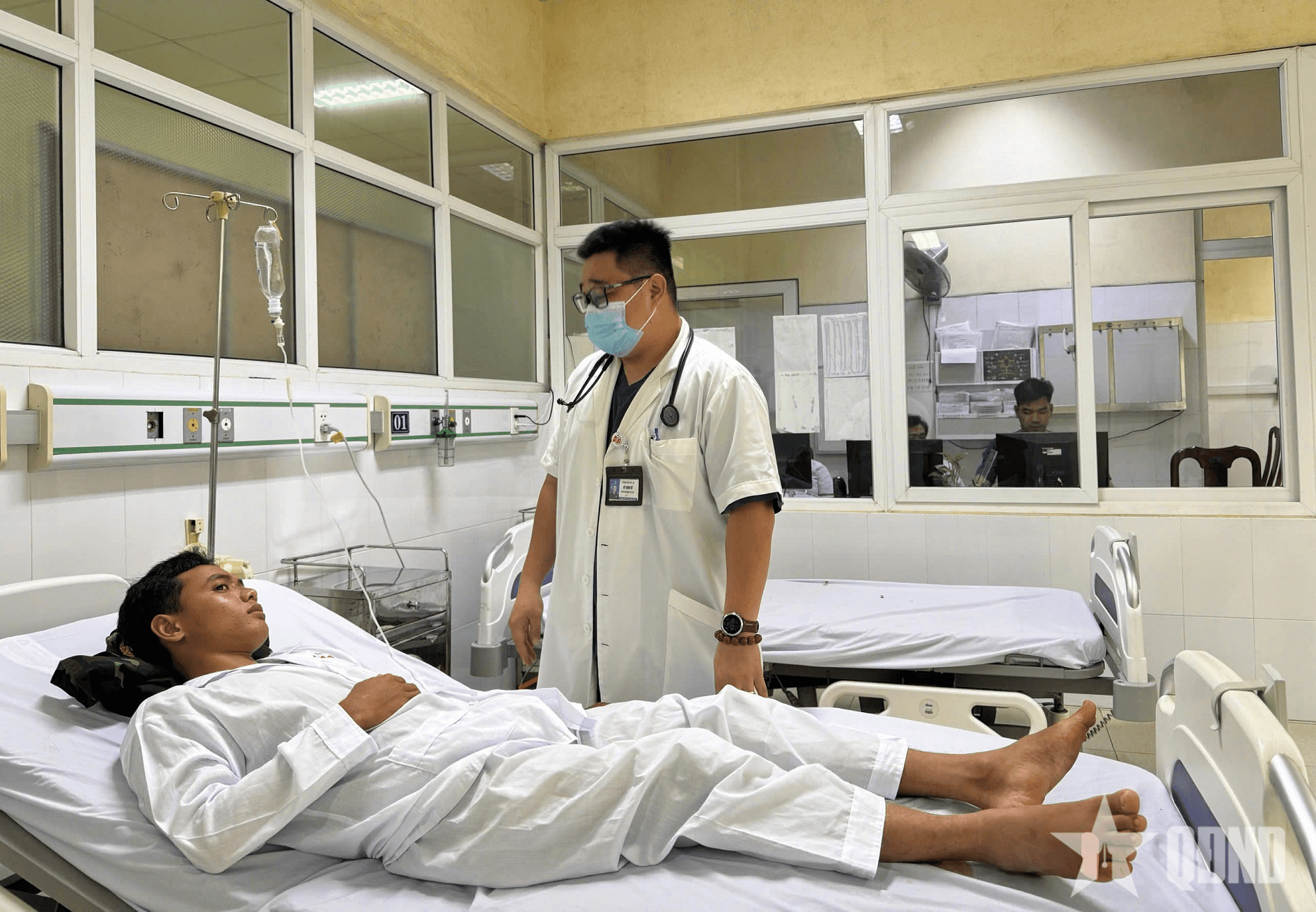 Năm rắn nói chuyện về những người “khắc tinh” của rắn