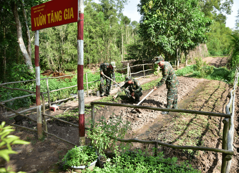 Tăng gia bên chốt giữ rừng