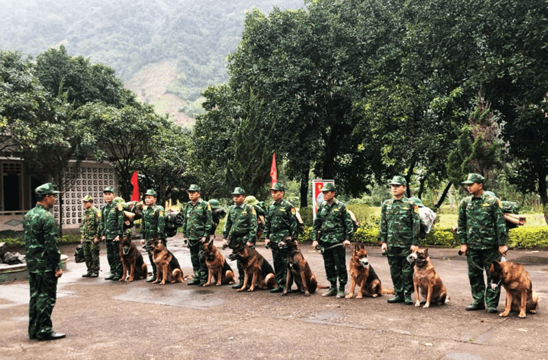 Ở một ngôi trường đặc biệt