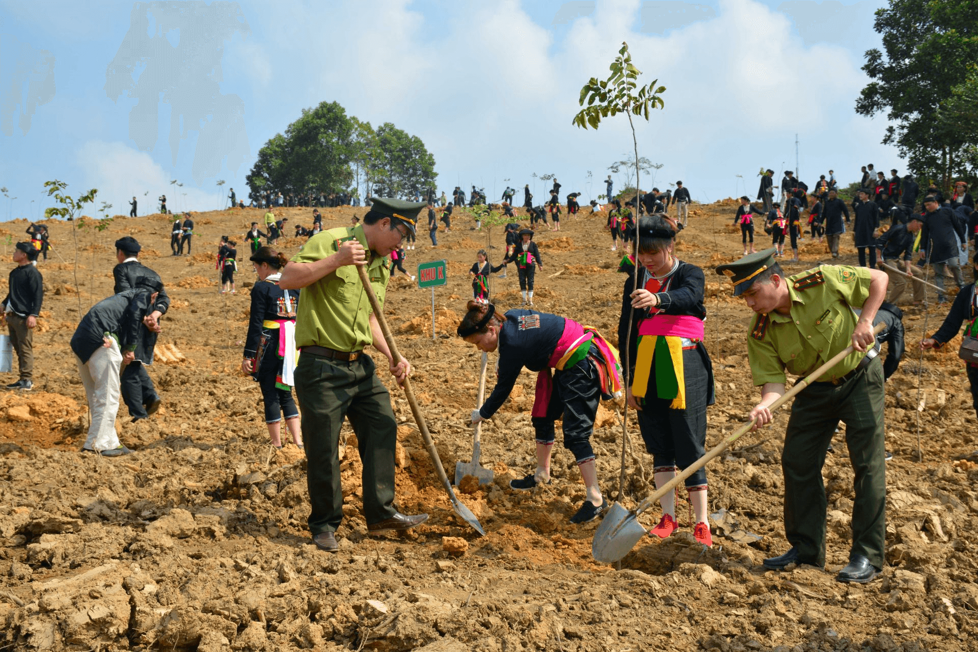 Đối thoại chủ nhật: Trồng cây, trồng rừng, góp phần ứng phó với biến đổi khí hậu