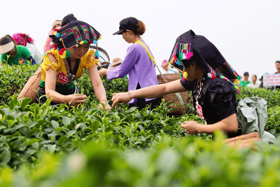Tân Uyên: Nâng cao giá trị sản xuất nông nghiệp