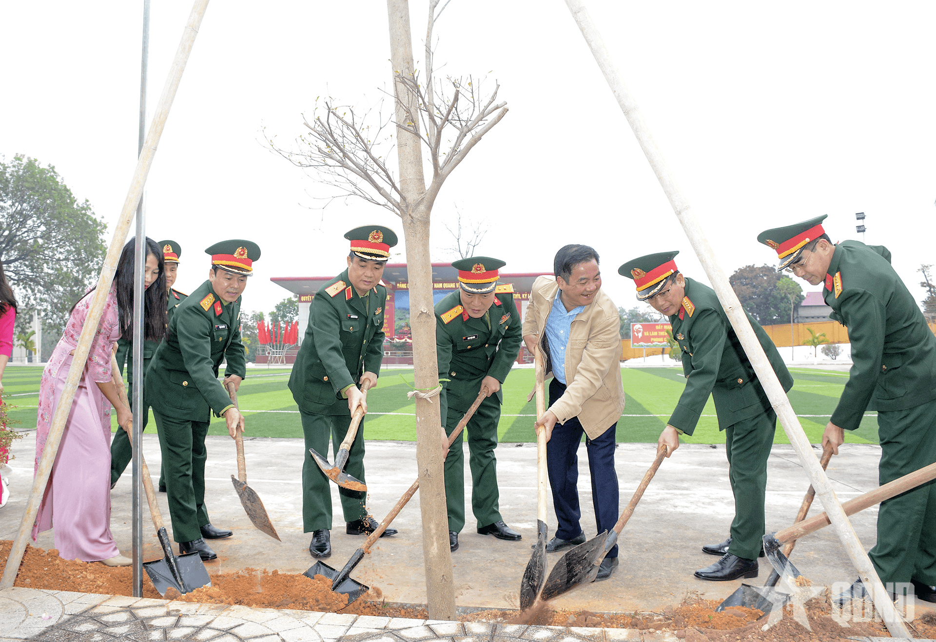 Trồng cây nâng cao chất lượng môi trường kho xăng dầu