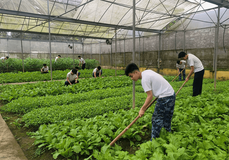 Ấn tượng công tác tăng gia sản xuất tại Hải đội 102, Bộ tư lệnh vùng Cảnh sát biển 1