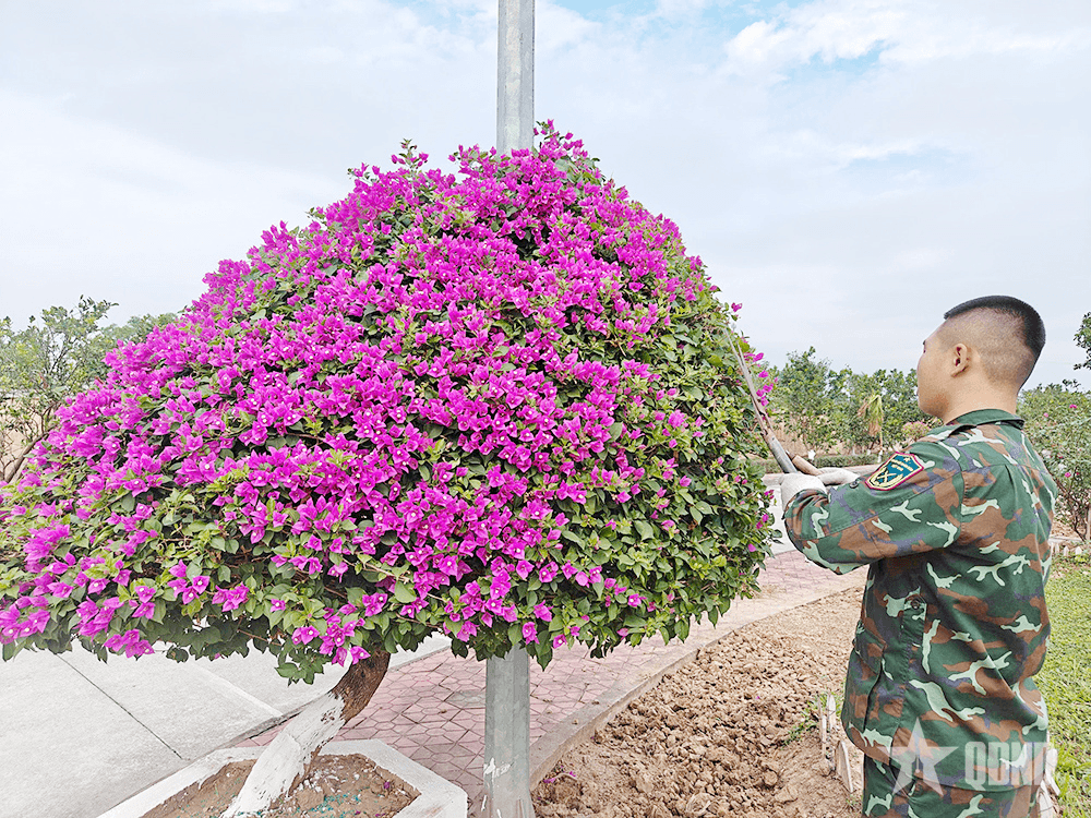 Lữ đoàn Phòng không 214 (Quân khu 3): Doanh trại chính quy chào mừng đại hội