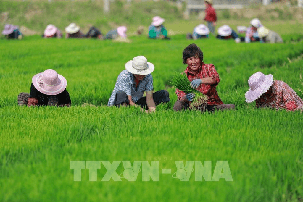Tàu chậm thay đổi cuộc sống nông dân Trung Quốc