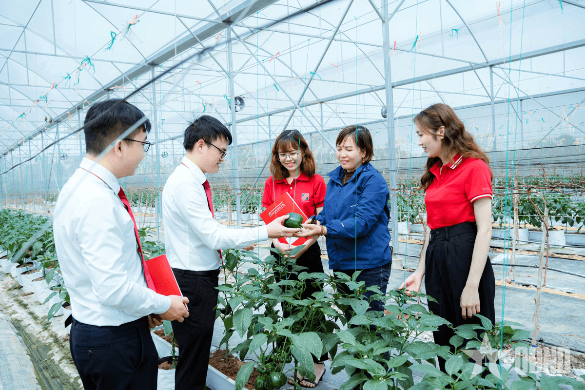Định hướng tín dụng vào các động lực tăng trưởng kinh tế