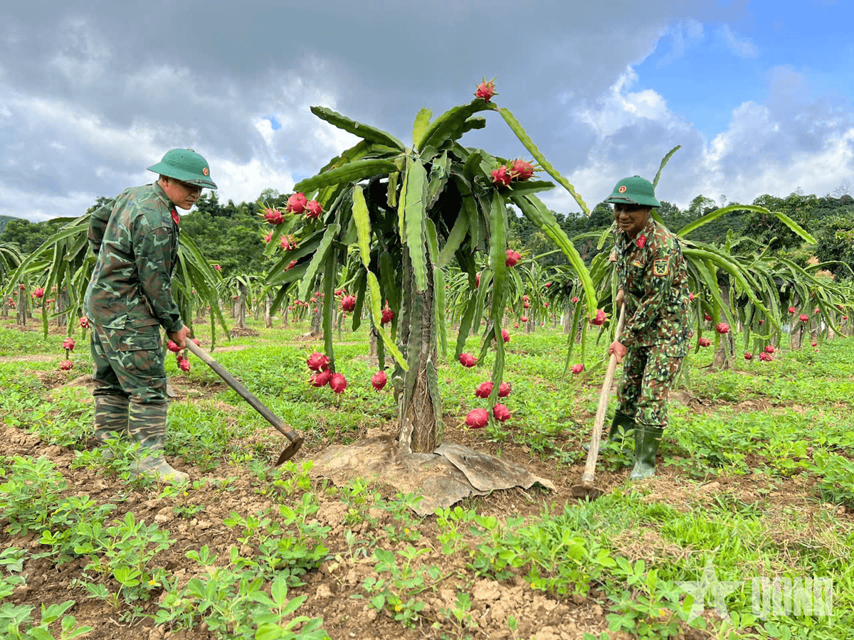 Giúp người dân vùng biên phát triển kinh tế