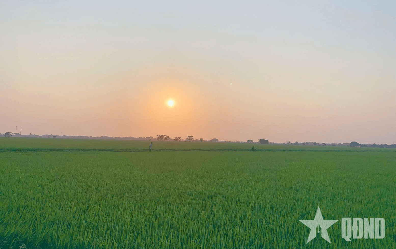 Hương quê - “Hành trang” của người con xa xứ