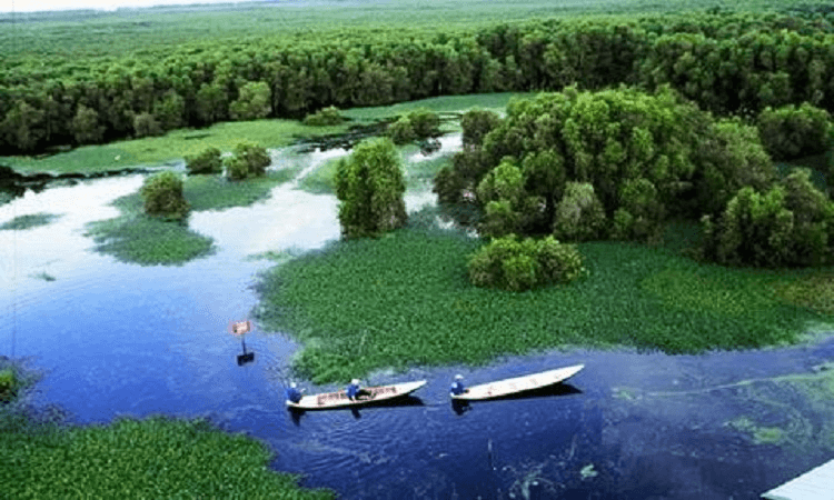 Chi trả dịch vụ hệ sinh thái đất ngập nước tại Vườn quốc gia Tràm Chim