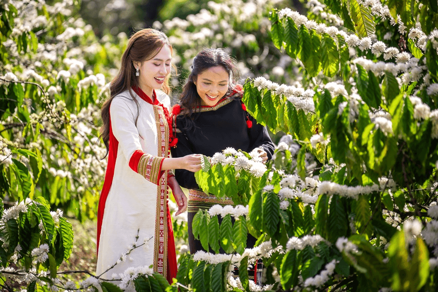 Nơi hội tụ tinh hoa cà phê, văn hóa đại ngàn Tây Nguyên