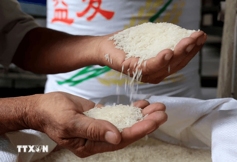 Bản tin nông sản hôm nay (26-2): Cà phê, hồ tiêu giảm mạnh