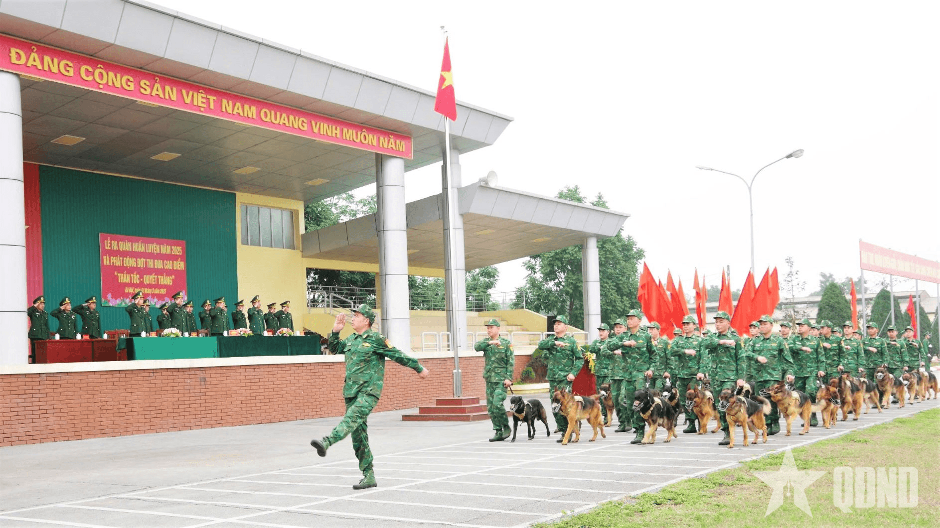 Trường Trung cấp 24 Biên phòng phát triển, huấn luyện tốt chó nghiệp vụ sẵn sàng cho các nhiệm vụ