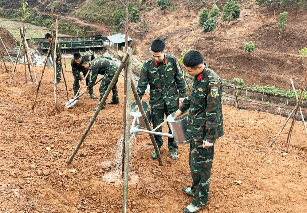 Nỗ lực phủ xanh doanh trại