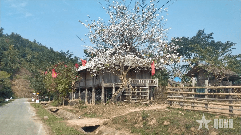 Mùa hoa ban nở trên vùng biên xứ Nghệ
