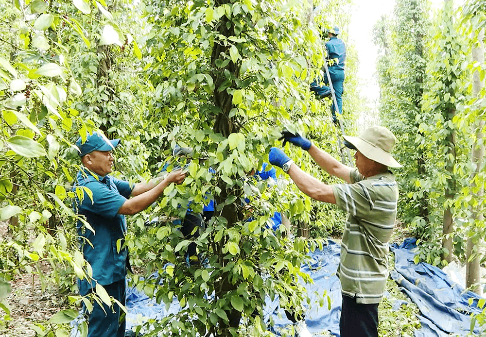 Chung tay cùng địa phương chăm lo cho nhân dân