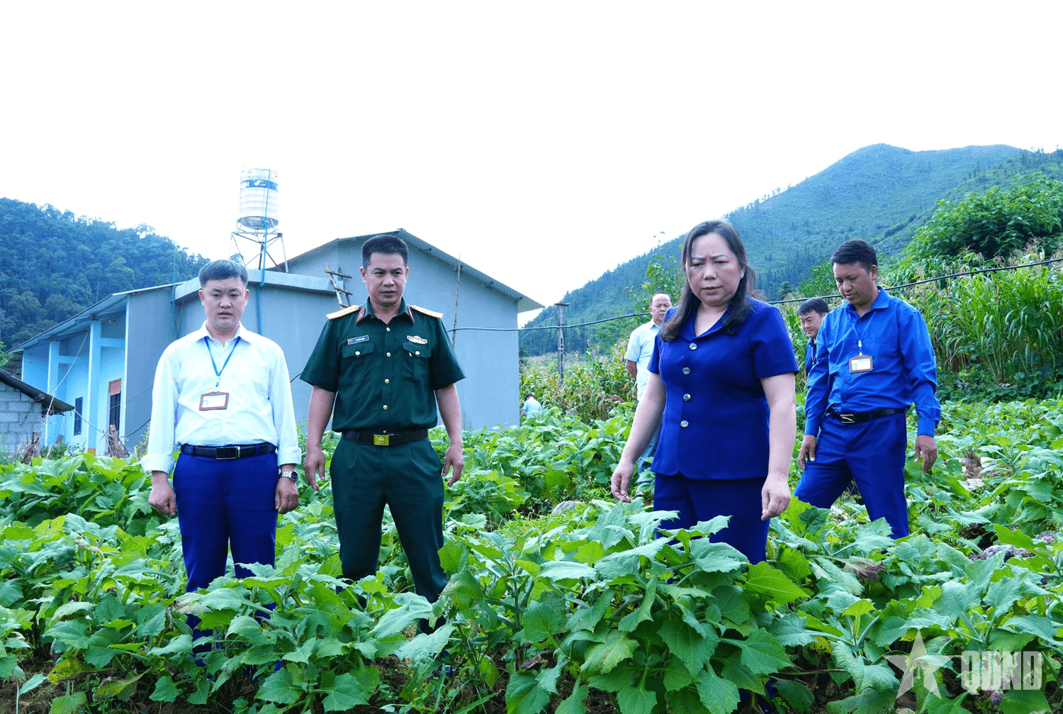 Ban CHQS huyện Mèo Vạc (Hà Giang) trao cây giống tặng hộ nghèo
