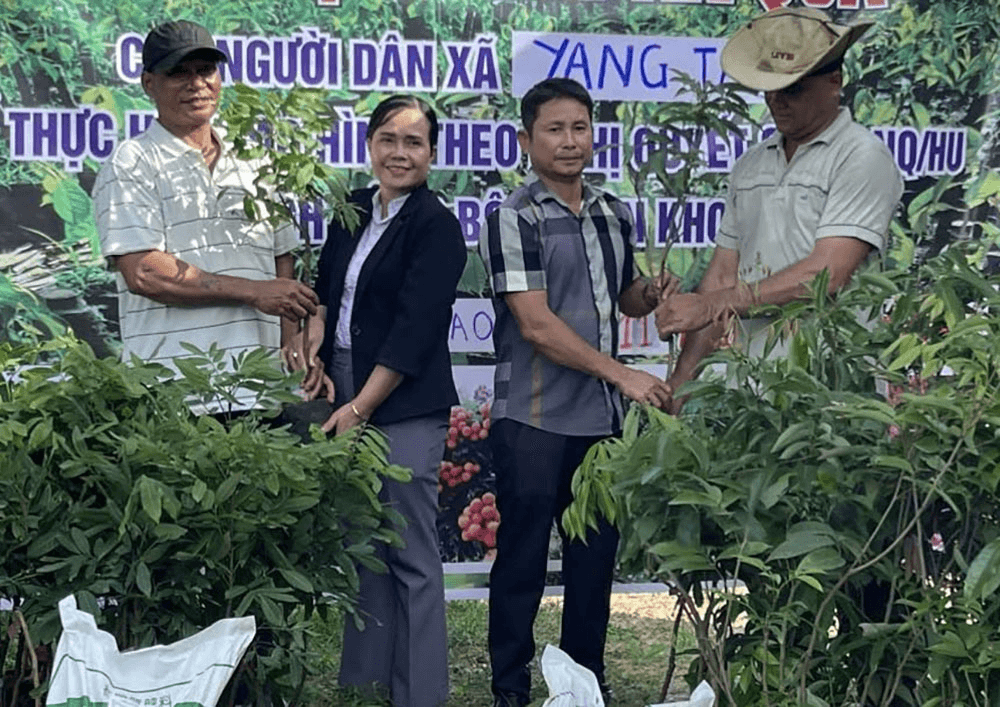 Đảng viên hỗ trợ hộ nghèo ở Yang Tao