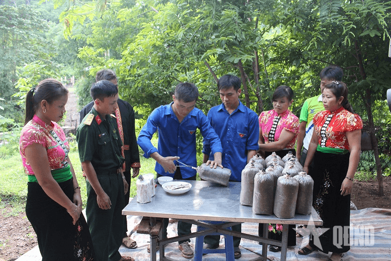 Trí thức trẻ tình nguyện góp sức dựng xây miền biên viễn