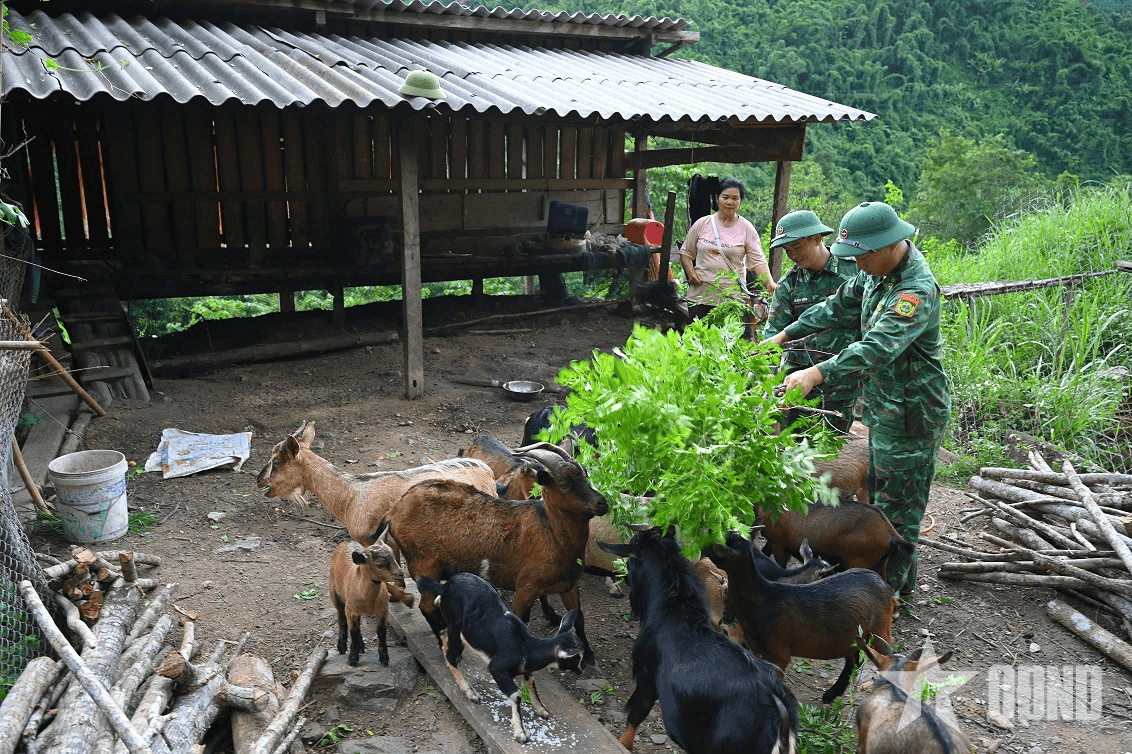 Đảng viên biên phòng giúp hộ nghèo nơi biên giới