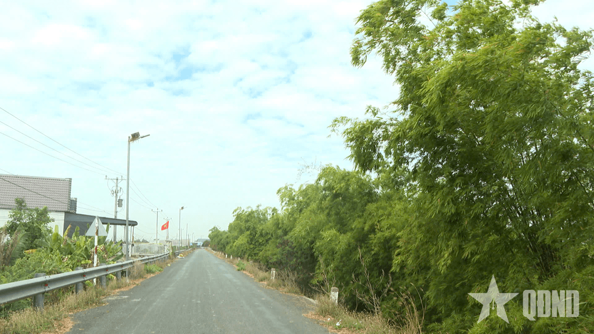 Lũy xanh trên vùng đất sen hồng
