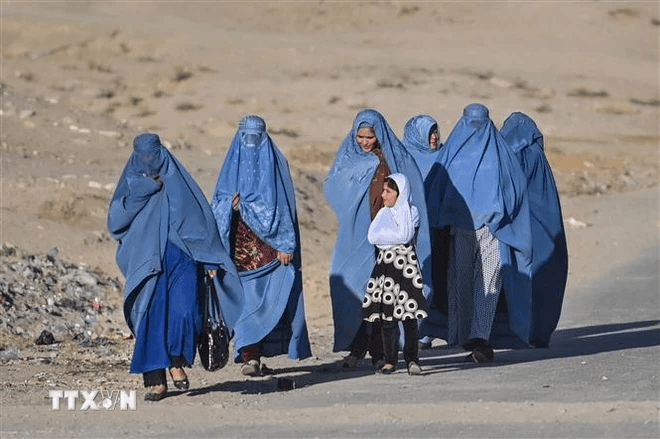 Phụ nữ Afghanistan nỗ lực vươn lên độc lập tài chính