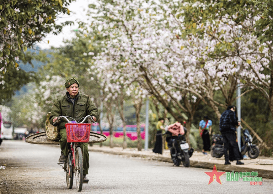 Thời tiết hôm nay (25-3): Miền Bắc nắng nóng trước khi chuyển lạnh, cao nhất 32 độ C