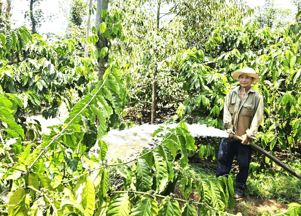 Thách thức của ngành cà phê