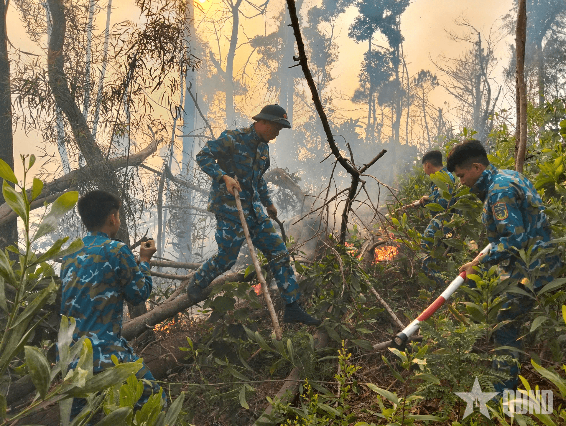 Hải Phòng: Bộ đội Phòng không - Không quân kịp thời dập tắt cháy rừng trên đồi 137
