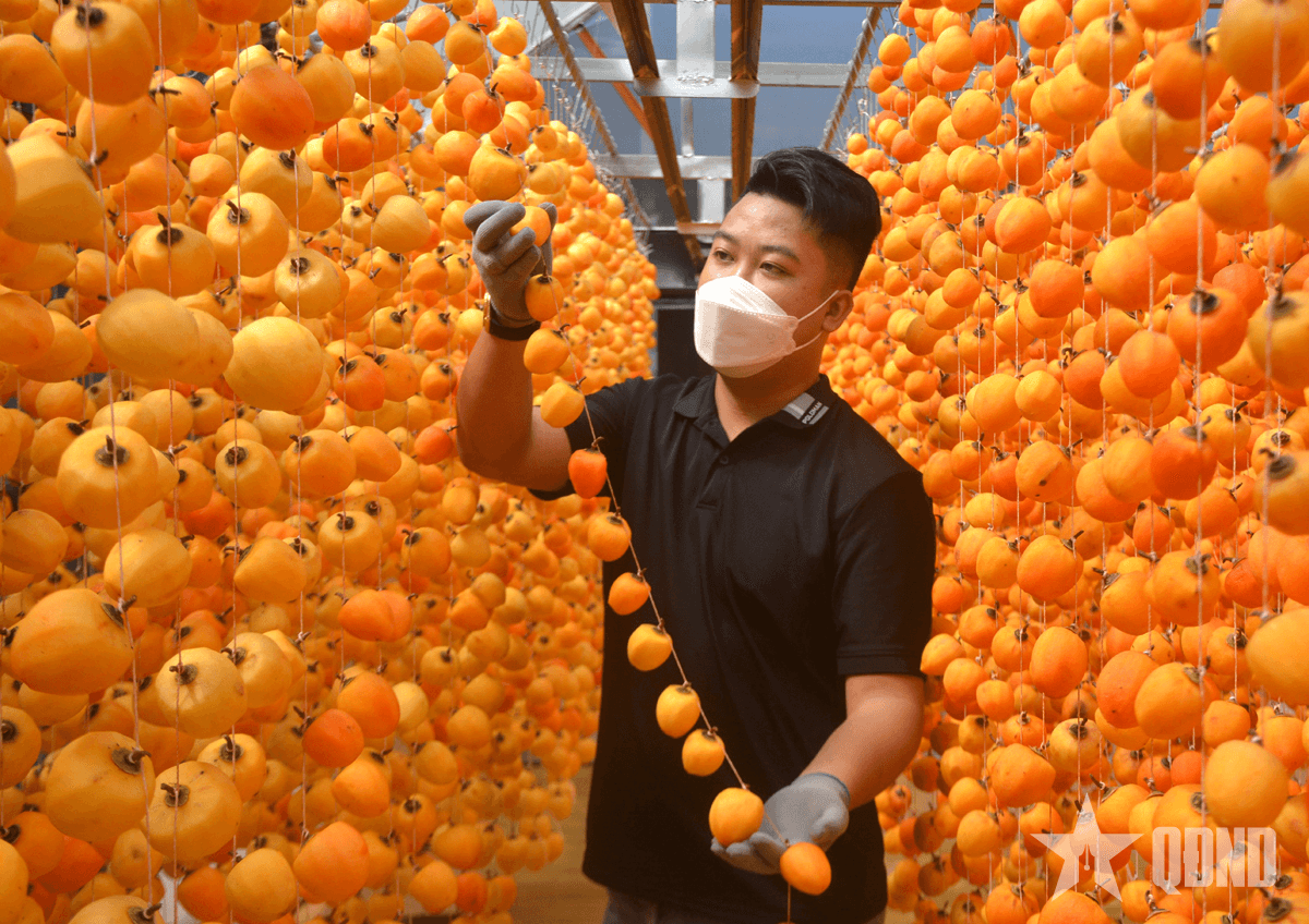 Tháng Tư trên những miền đất anh hùng