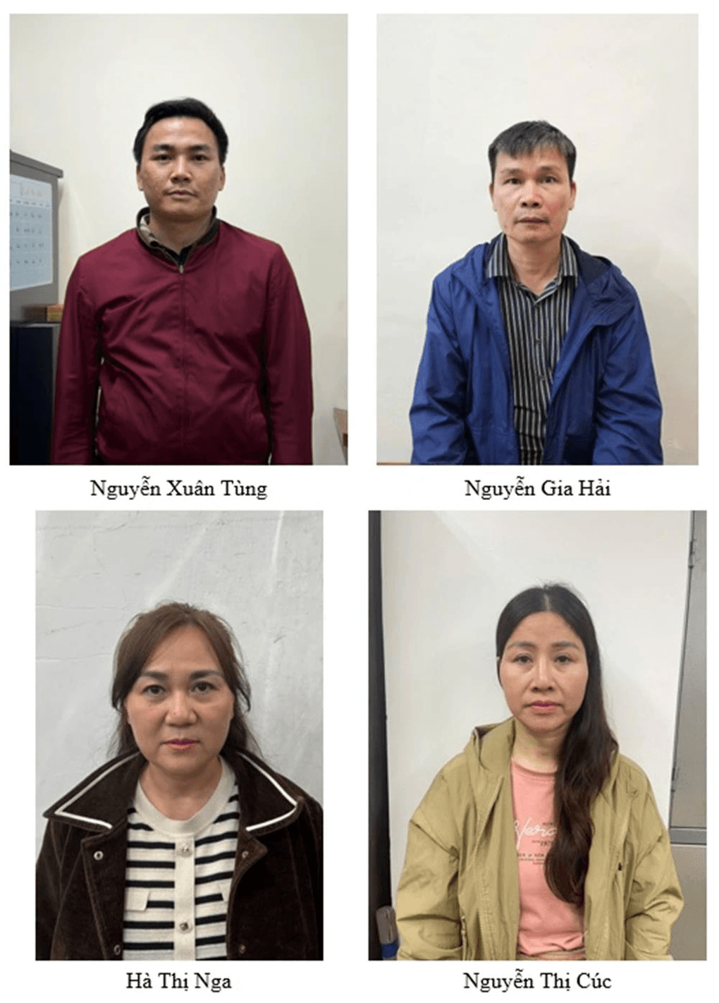 Khởi tố vụ án xảy ra tại Công ty cổ phần khoáng sản Thiên An Phát