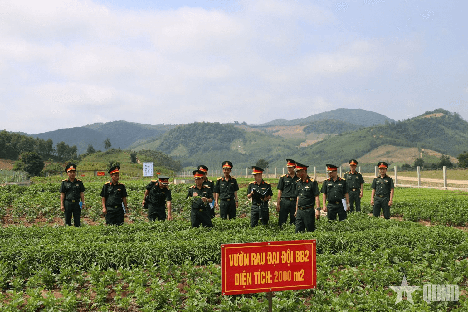 Đơn vị đại diện Bộ CHQS tỉnh Phú Yên tham gia hội thi vườn rau xanh, sạch, đẹp