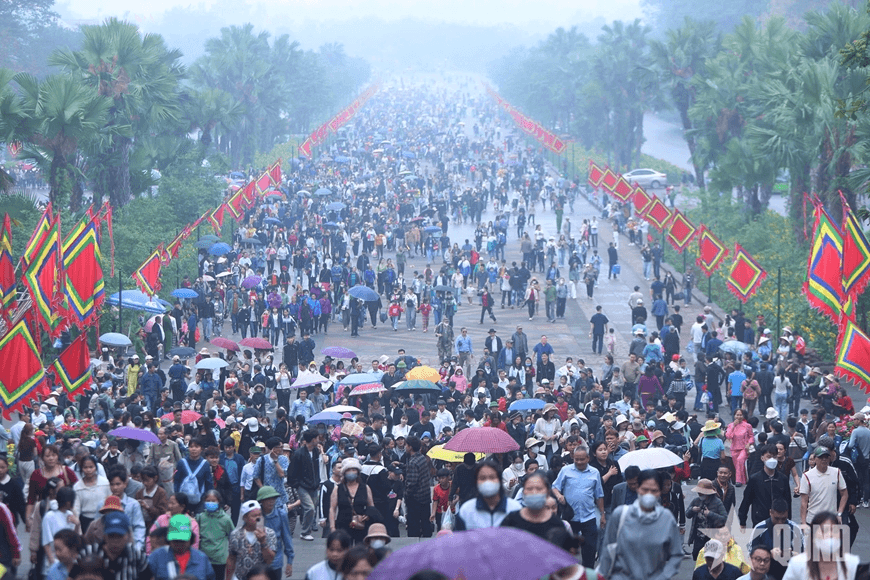 Một lòng hướng cội